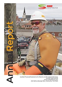 June 30, 2020 and 2019 Annual Report