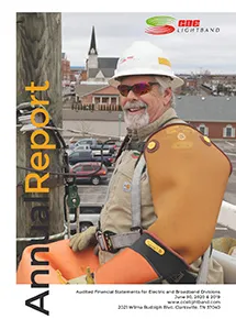 June 30, 2020 and 2019 Annual Report