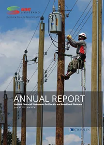 June, 30 2017 and 2016 Annual Report